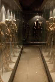 Pero lo terrible comenzaba después del entierro cada una de las momias de guanajuato está asegurada por el valor de más de un millón y medio de pesos (unos 84.000 dólares). Museo De Las Momias De Guanajuato