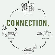 Dr marlene's natural health connections. News Yale School Of The Environment
