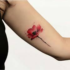 Bouquet de coquelicots coquelicots rouges coquelicot tatouage idées de tatouages fleurs bouquet de coquelicots rouges isolé sur blanc. 1001 Idees Tatouage Coquelicot Un Champ De 52 Modeles En Photos