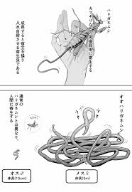 オオハリガネムシの生態 - 同人誌 - エロ漫画 momon:GA（モモンガッ!!）