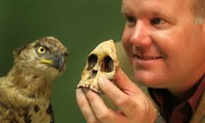 2-million-year-old mystery might have been solved