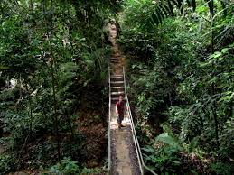 Taman negara national park is the main national park in malaysia and sits across the states of pahang, kelantan and terengganu. Taman Negara Hiking Guide Budget Bucket List