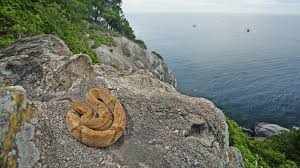 Snake island is a slither styled io game with realistic snakes. Schlangeninsel Queimada Grande Vor Der Kuste Brasiliens