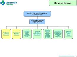 organizational structure pdf free download