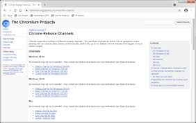 Google chrome es el navegador web. Chromium 41 0 Download Chrome Exe