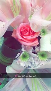 Pin By المـــ ور دة ـــدينة On صور ورود Rose Plants Flowers