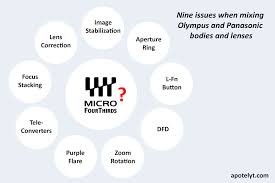 9 Issues When Mixing Olympus Panasonic Bodies Lenses