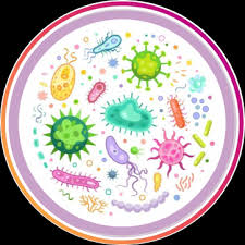 We did not find results for: My Biology Dictionary My Biology Dictionary