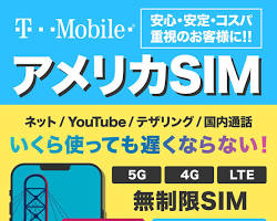 TMobile Hawaii SIM カードの画像