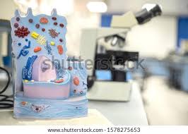 Maybe you would like to learn more about one of these? Shutterstock Puzzlepix