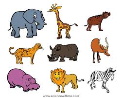 Learn About Safari Animals Science For Kids Safari Animals Zoo Animal Theme Animal Science