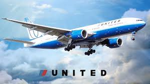 Pitbull Puppies Big Pups Xl Blue In 2020 United Airlines The Unit First Class Tickets