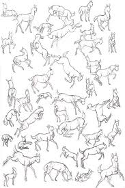 Deer Pose Reference Google Search Deer Drawing Art Poses Deer Art