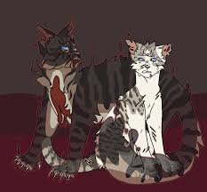 pin on warrior cats