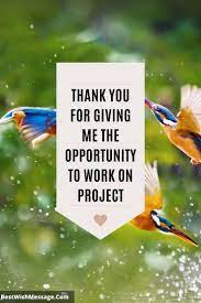 Thank You For Giving Me The Opportunity To Work On Project In 2022 | Give  It To Me, Thank You Messages, Opportunity