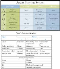 Image result for APGAR Score
