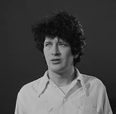 Herman brood werd in 1946 in zwolle geboren en overleed in 2001 in amsterdam. Herman Brood Wikipedia