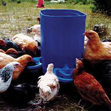 Abreuvoir contenance 3 litres pour poussins, poules, cailles, petites volailles abreuvoir en plastique de qualité. Abreuvoir Automatique Maxi Cup Elevage Ducatillon
