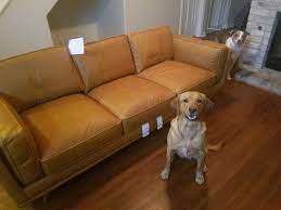 My leather sectional from article aka the keeper domestic. Article Leather Sofa Timber Charme Tan