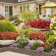 Image result for Vepris grandifolia