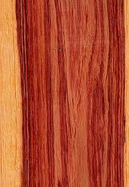 Image result for Dalbergia acutifoliolata