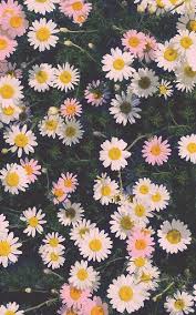 Cool Fond D Ecran Iphone Samsung Mobile Hd 3714 Check More At Http All Images Net Fond De Floral Wallpaper Iphone Daisy Wallpaper Vintage Flowers Wallpaper