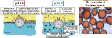 Encapsulation Of Oils And Fragrances By Ph Responsive Core In Shell Structures Advances In Engineering Shell Structure Oils Polymer