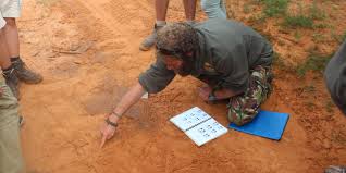 Ini adalah cara paling mudah untuk mendapatkan pulsa gratis all operator tanpa harus melakukan apapun yang membuang waktu anda. Apprentice Trails Guide Eastern Cape South Africa Natucate