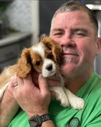 Looking for puppy cavalier buff and white male or female under 800 near  Orlando fl