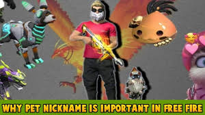 It comes with the well fed ability that grants an additional 4 hp when using a health pack. 100 Best Free Fire Pet Nickname Pointofgamer