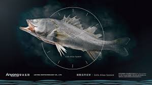 台北國際食品展 主視覺 2018 pets fish pet animals