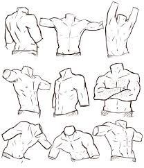 The torso or trunk is an anatomical term for the central part, or core, of many animal bodies (including humans) from which extend the neck and limbs. Male Torso Drawing Reference And Sketches For Artists