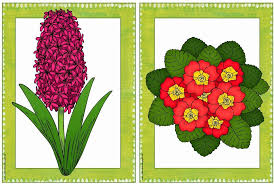 Fruhlingshafte Pflanzen Weitere Bildkarten Etc Bereits Vor Einiger Zeit Habe Ich Bildkart Fruhling Im Kindergarten Fruhlingsblumen Fruhbluher Grundschule