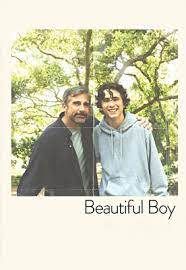 Watch Beautiful Boy Online Vidangel