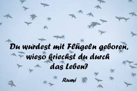 Zitate Rumi Wenn Das Leben Sprüche