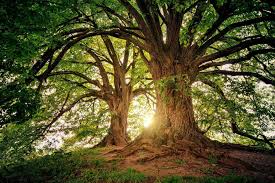 327 days remain until the end of the year (328 in leap years). Worship At Home Sunday 7th February 2021 Beaminster Team Churches