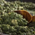 Cauta reteta care ti se potriveste. Ciorba De Urzici Cu Usturoi Retete Practice