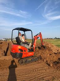 Profile for Ralph Iasiello Lawncare, LLC