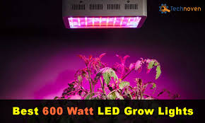 Read honest and unbiased product reviews from our users. 10 Best 600 Watt Led Grow Lights Review 2021