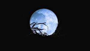 Dans la nuit de dimanche 22 à lundi 23 août 2021, la pleine lune que l'on apercevra est appelée lune bleue car elle est très rare. 1ngcdihsam28gm