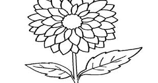 Gambar bunga matahari, mawar, sakura, anggrek, asoka, aster, dahlia, lavender yang indah, bagus, cantik, dan romantis. 28 Contoh Kolase Bunga Mawar Terbaru Lingkar Png