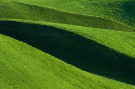 Hydroseeding Services