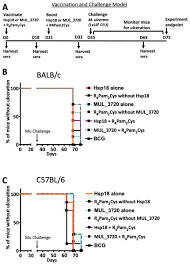 November 2019 an der hbk braunschweig haben wir uns mit wolfgang m. High Antibody Titres Induced By Protein Subunit Vaccines Using Mycobacterium Ulcerans Antigens Hsp18 And Mul 3720 With A Tlr 2 Agonist Fail To Protect Against Buruli Ulcer In Mice Peerj