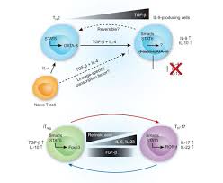 A sassuolo no le sobró nada, pero venció a benevento en su casa por 1 a 0. Alternative Lifestyles Of T Cells Nature Immunology