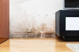 Die optimale luftfeuchtigkeit in der wohnung ist für raumklima und gesundheit wichtig und hilft, schimmel vorzubeugen. Feuchtigkeit Und Schimmel Wohnungswirtschaft Online