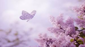 Relaxing Piano Music Romantic Music Beautiful Music Soothing Sleep Music Relaxing Music 89 Youtube