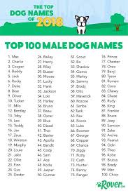 90 Pet Name Ideas Dog Names Puppy Names Pet Names