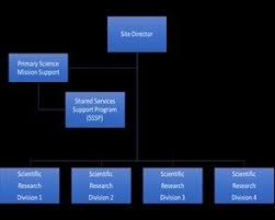 organizational chart for federal research campus and sssp