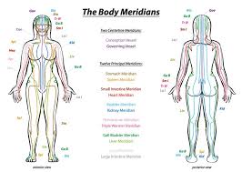 The large intestine or colon starts at the bottom of the right side of the abdominal cavity. Release Negative Energy With These Large Intestine Meridian Exercises