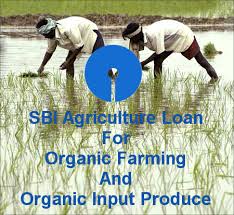 This english to hindi dictionary pertains is useful for improving your hindi as well as english. Sbi Agriculture Loan For Organic Farming And Organic Input Produce Lopol Org